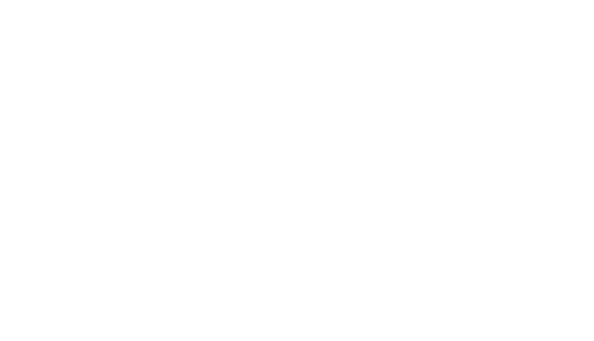 skate dealer Rollerblade Equipment